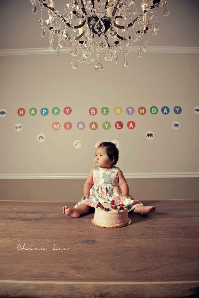 Northern Virginia Baby Photographer