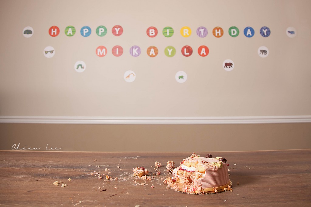 Northern Virginia Baby Photographer