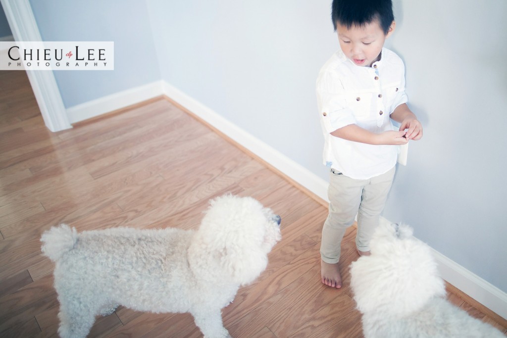 Fairfax Preschool Portraits Photographer