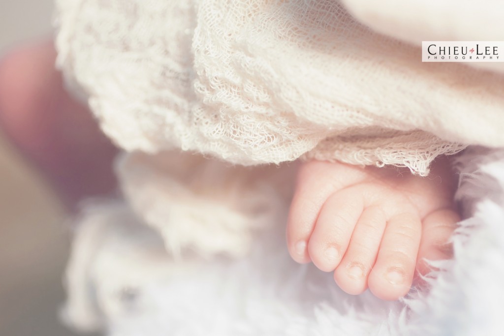 Chantilly Newborn Photographer