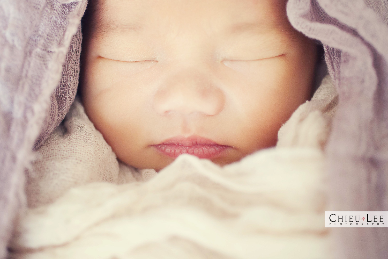 Newborn Portraits