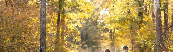 Best Outdoor Maternity Spots within 20 Minutes of 20151 (Chantilly, VA)